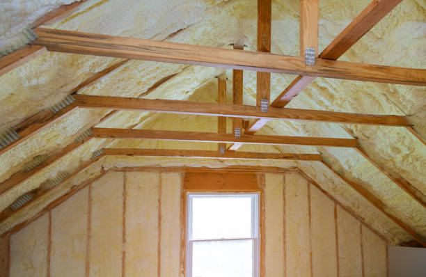 Best Cellulose Insulation  in USA